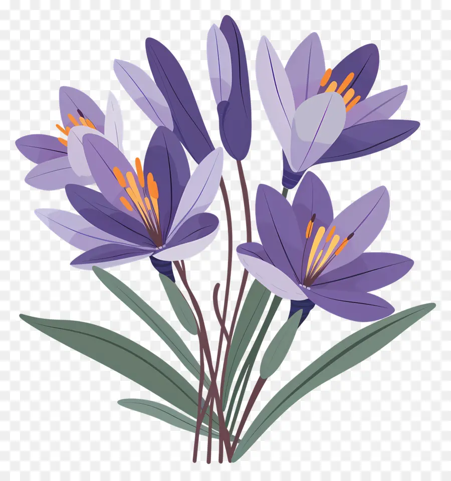 Fleurs De Safran，Fleurs Violettes PNG