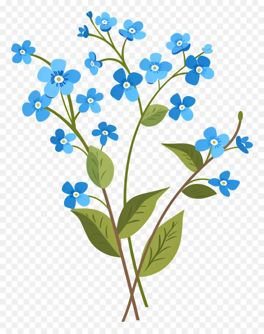 Fleurs Bleues，Bleu PNG