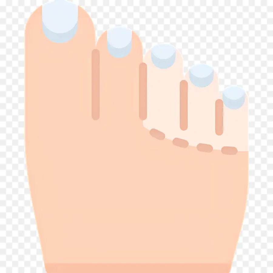 Orteil Du Pied，Illustration Du Pied PNG