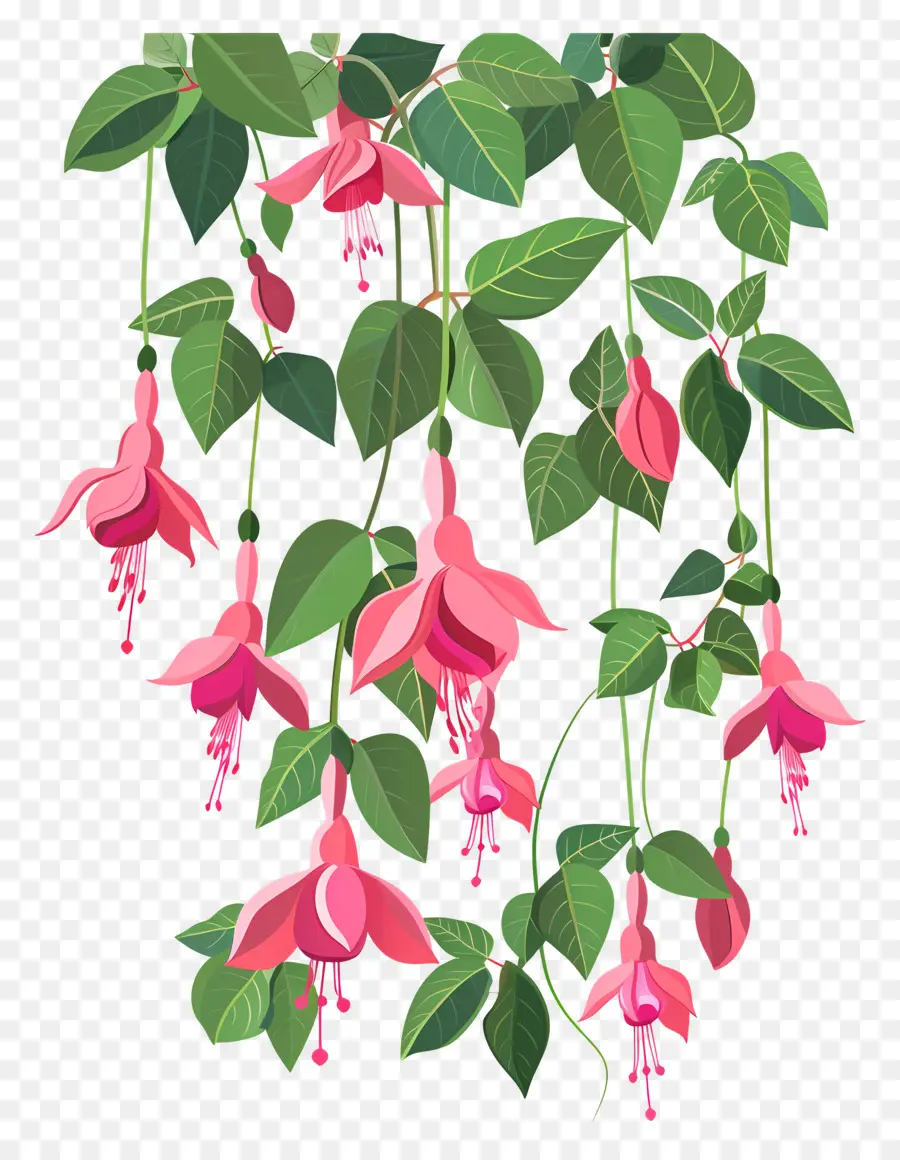 Fleurs Suspendues，Fleurs Roses PNG