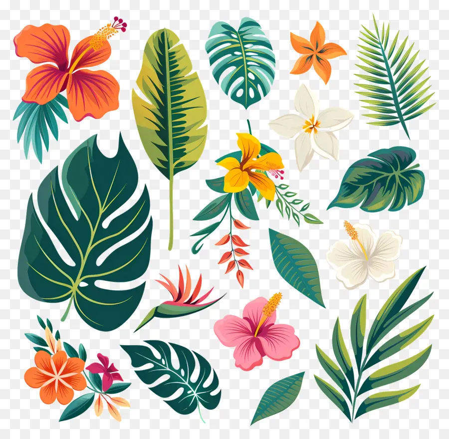 Fleurs Tropicales，Feuilles Et Fleurs Tropicales PNG