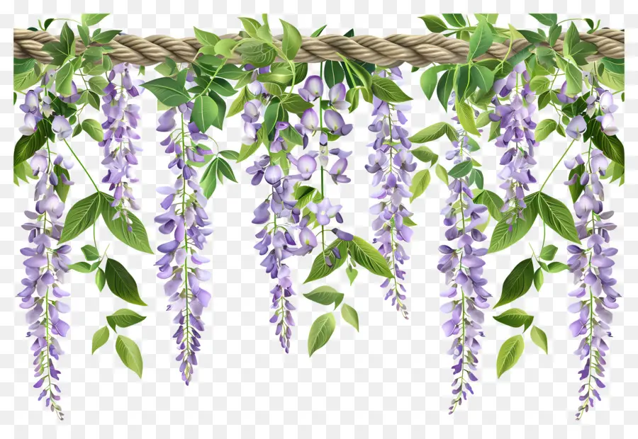 Fleurs Suspendues，Fleurs Violettes Suspendues PNG