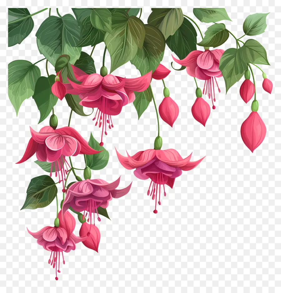 Fleurs Suspendues，Fleurs Roses PNG