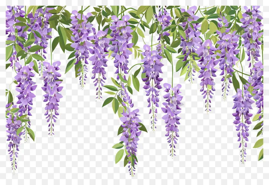 Fleurs Suspendues，Fleurs Violettes Suspendues PNG