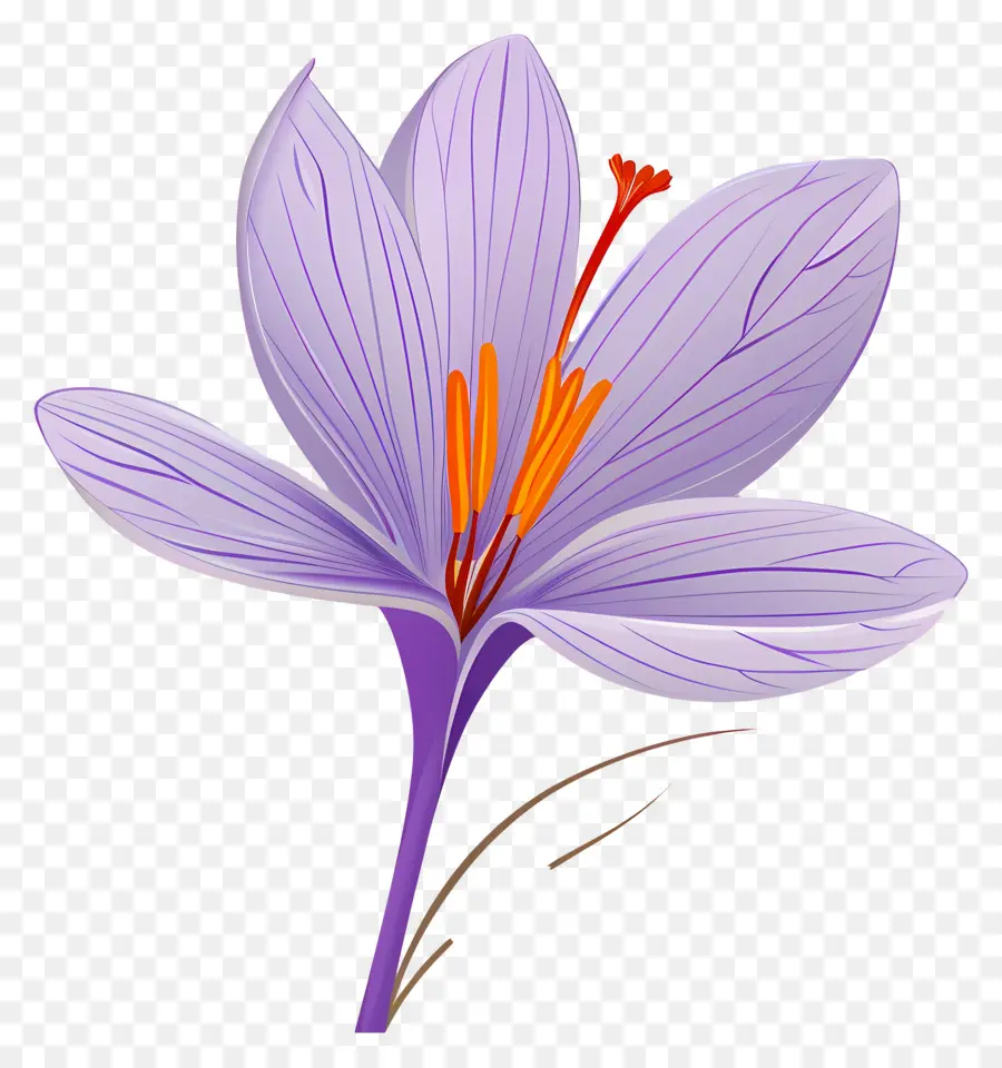 Fleur De Safran，Fleur Violette PNG