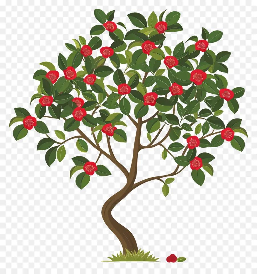 Arbre à Fleurs，Arbre à Fleurs Rouges Et Blanches PNG