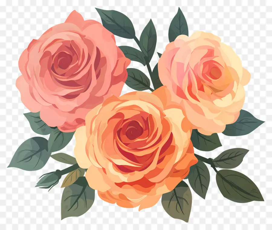 Fleur Rose，Roses Oranges PNG