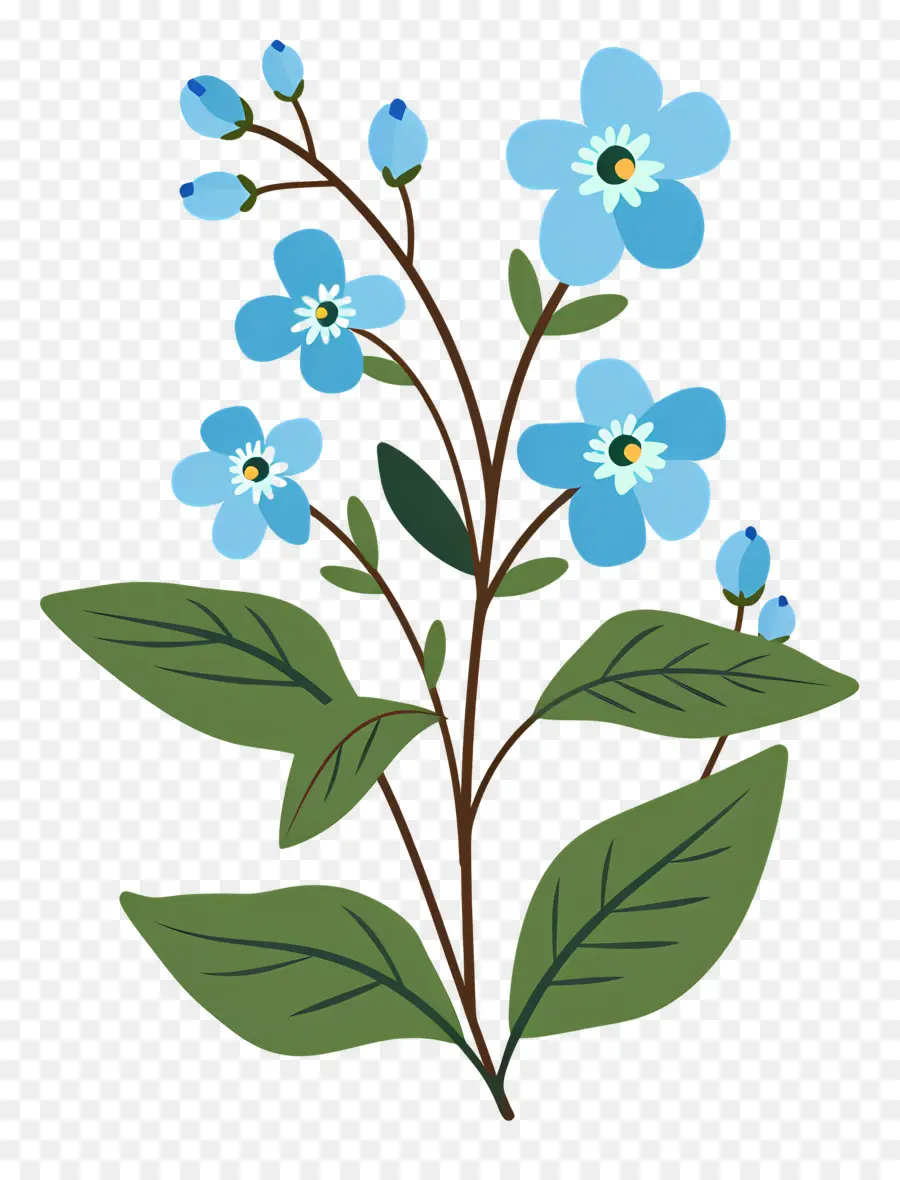 Fleurs Bleues，Feuilles Vertes PNG