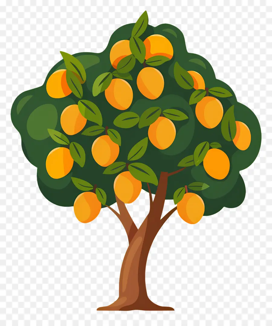 Manguier，Fruit PNG