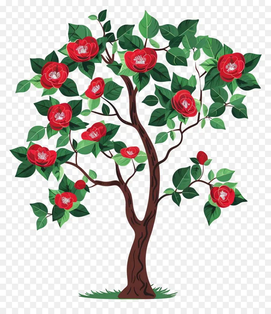 Arbre à Fleurs，Arbre à Fleurs Rouges Et Blanches PNG