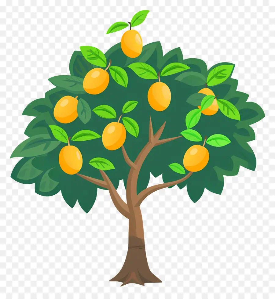 Manguier，Fruit PNG