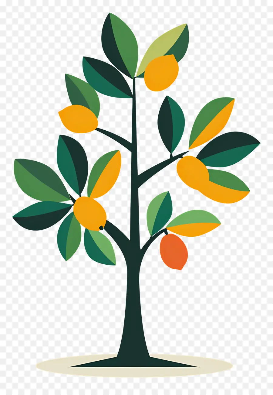 Manguier，Fruit PNG