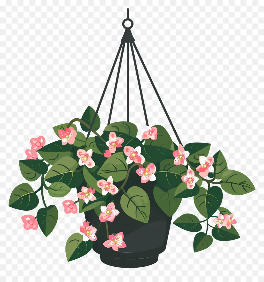 Fleurs Suspendues，Plante Suspendue à Petites Fleurs Roses PNG