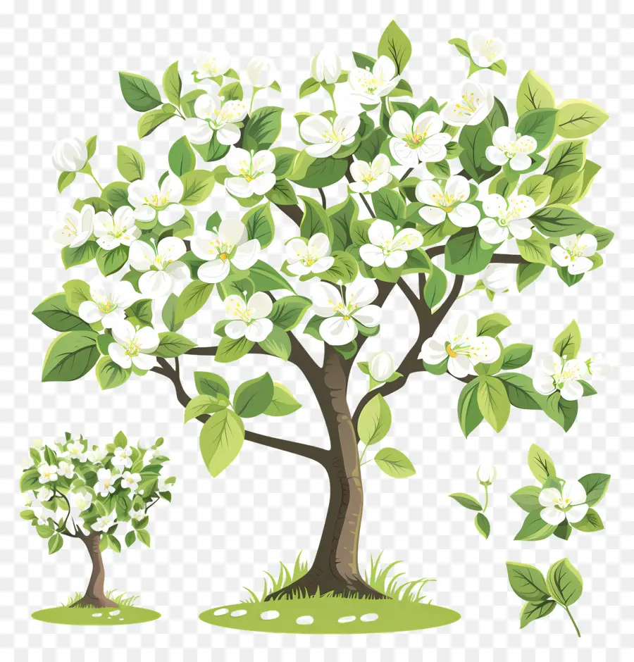 Arbre à Fleurs，Trois Arbres En Fleurs PNG