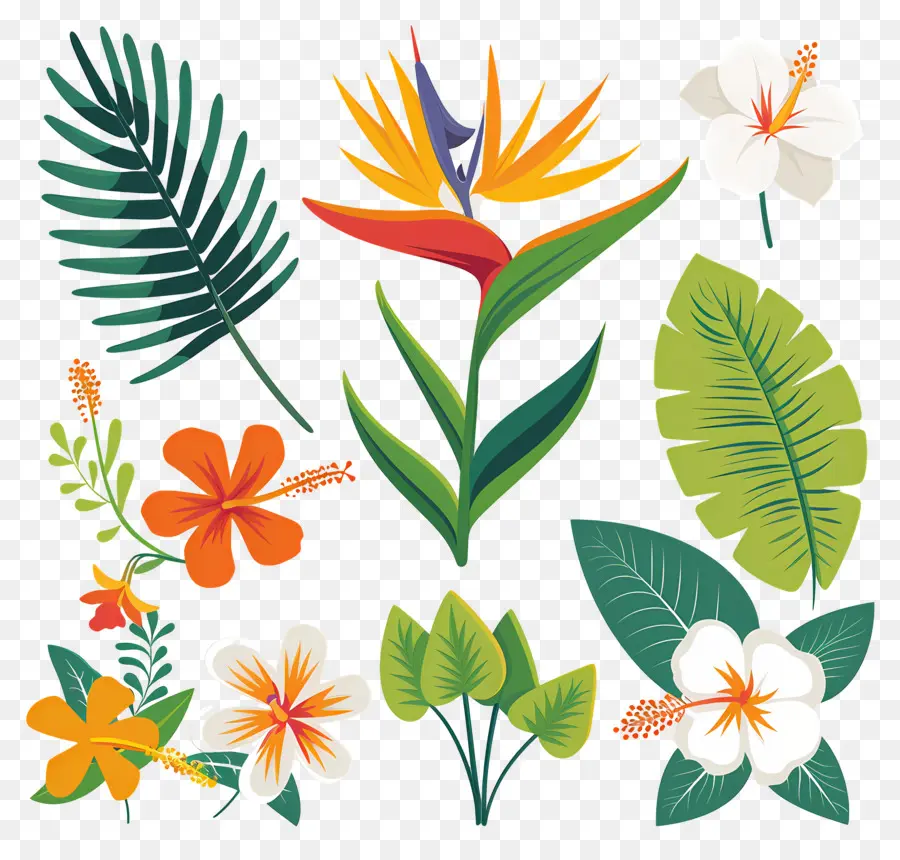 Fleurs Tropicales，Feuilles Et Fleurs Tropicales PNG