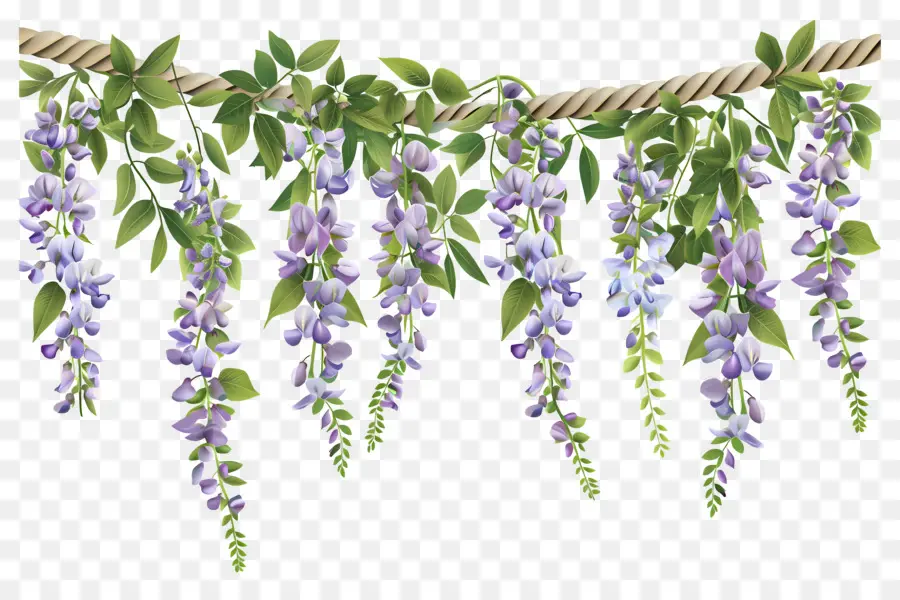 Fleurs Suspendues，Fleurs Violettes Suspendues PNG