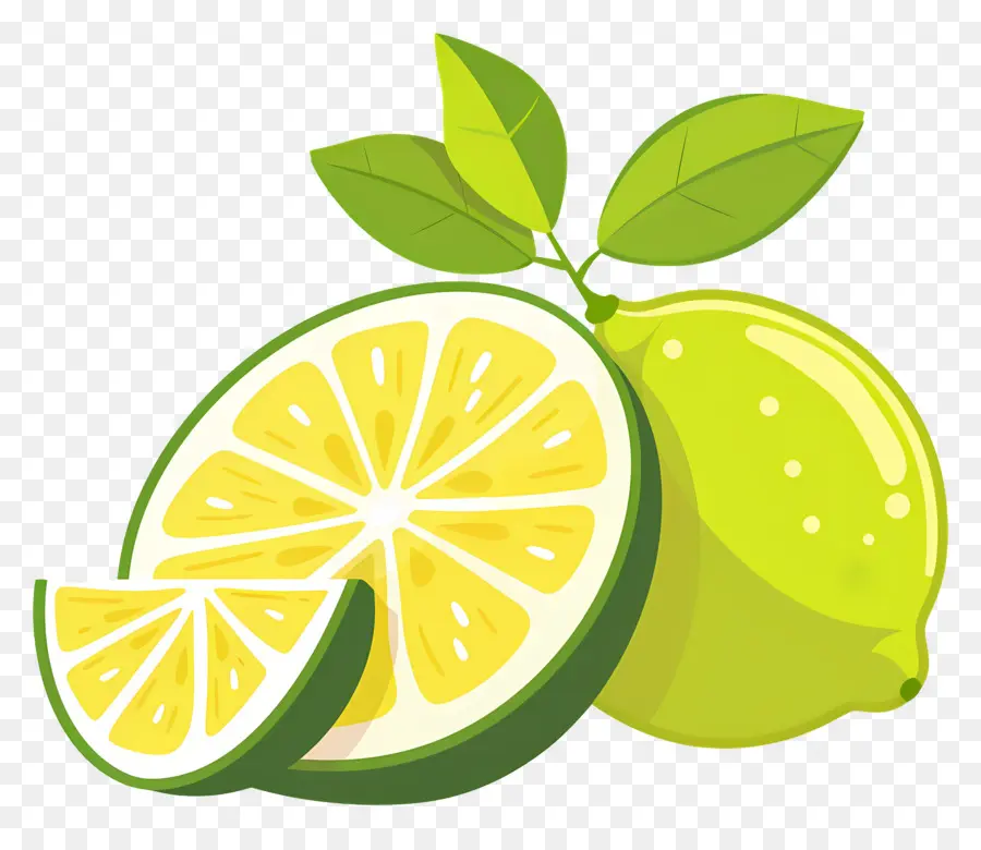 Citron Vert，Tranche De Citron Vert PNG