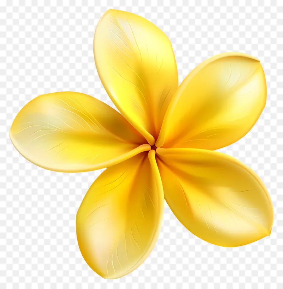 Fleur De Pluméria，Fleurs Jaunes PNG