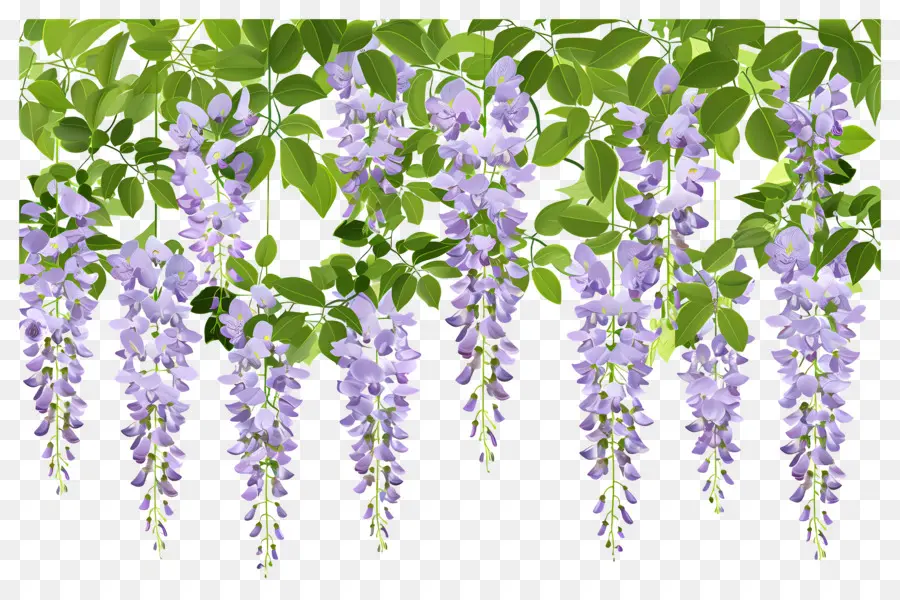 Fleurs Suspendues，Fleurs Violettes Suspendues PNG