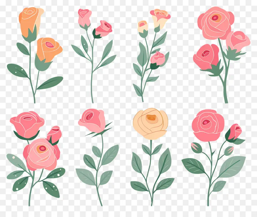 Fleur Rose，Tiges De Roses PNG