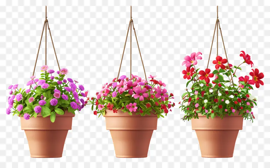 Fleurs Suspendues，Pots De Fleurs Suspendus PNG