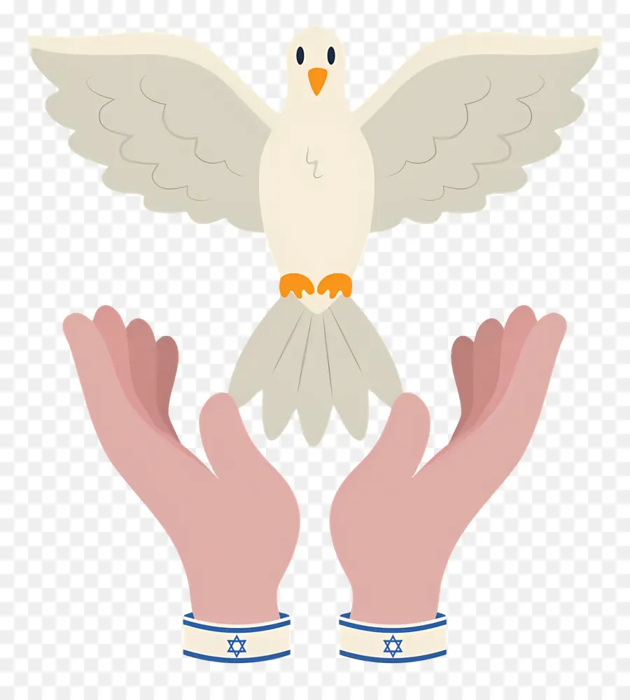 Colombe，Colombe Avec Les Mains PNG