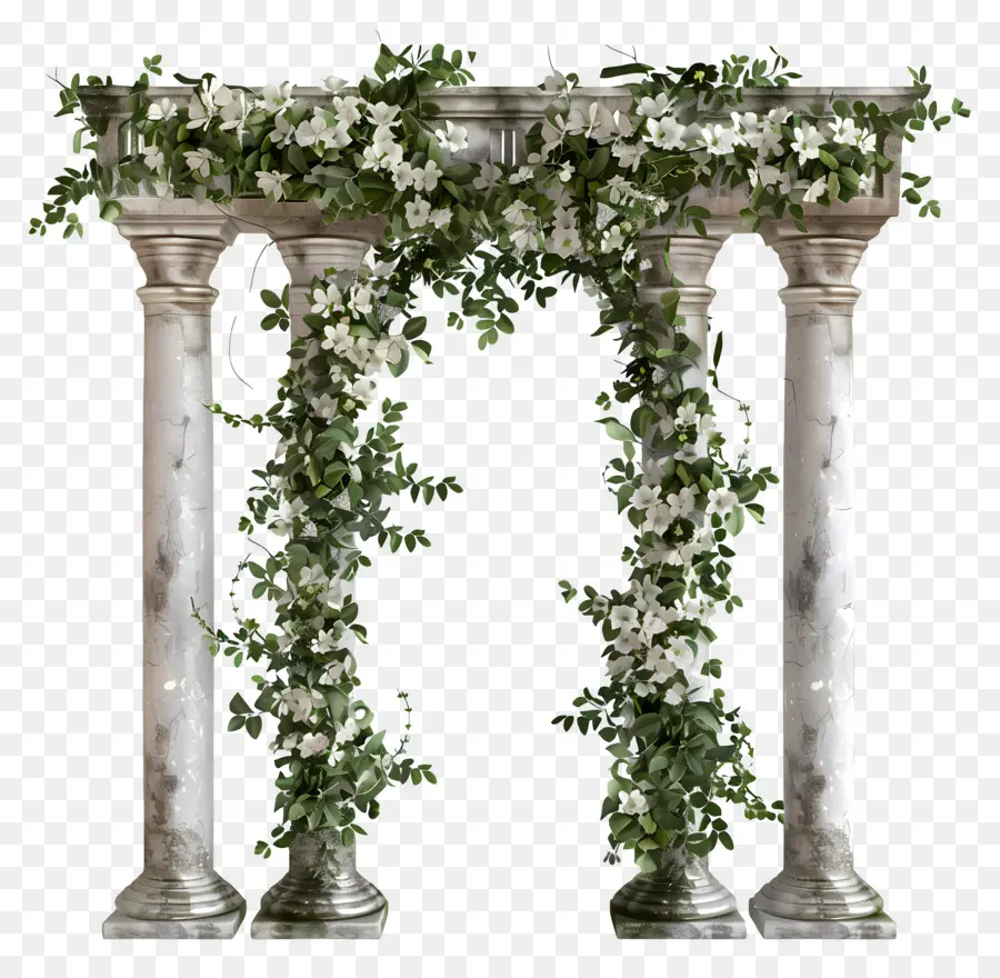 Arche De Mariage，Arche De Colonne Blanche PNG