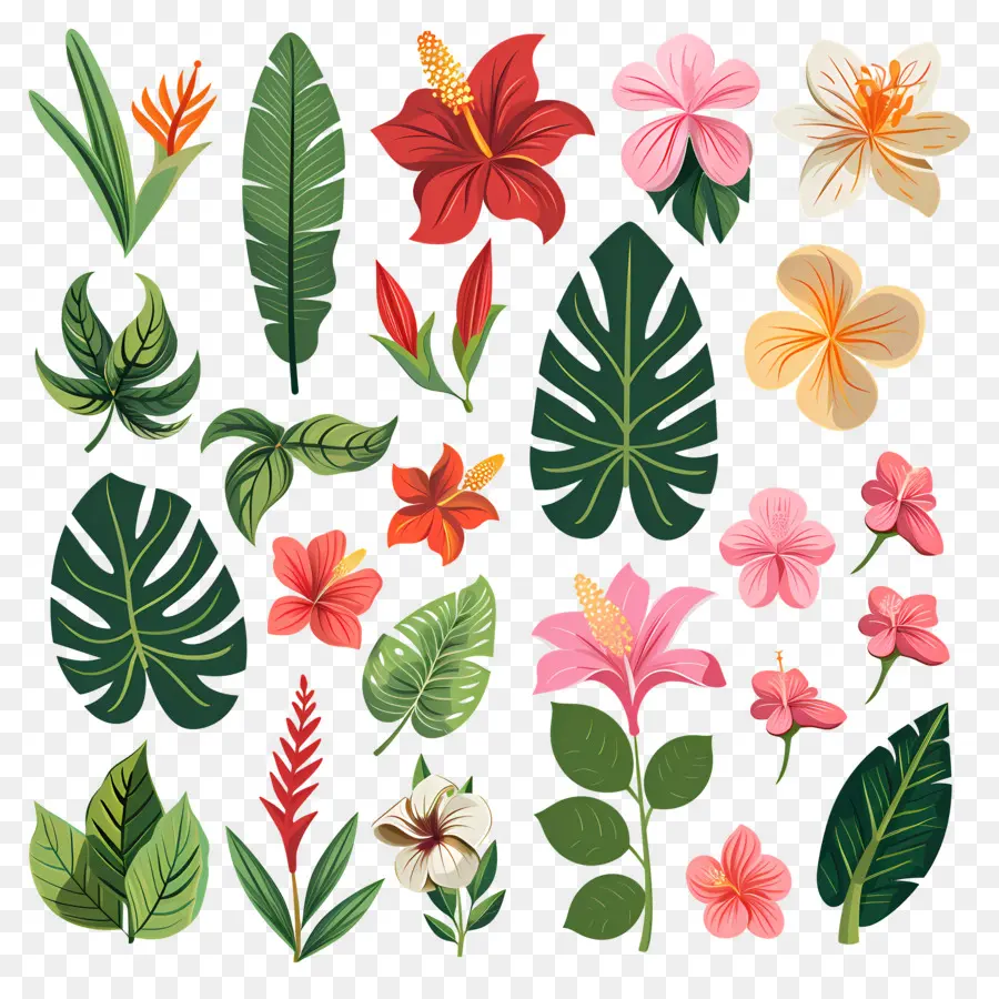 Fleurs Tropicales，Feuilles Et Fleurs Tropicales PNG