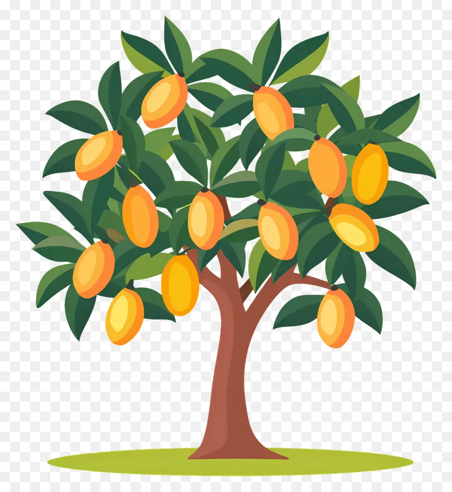 Manguier，Fruit PNG