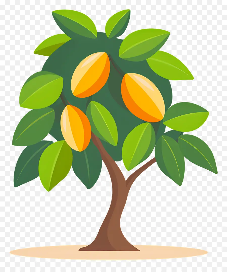 Manguier，Fruit PNG