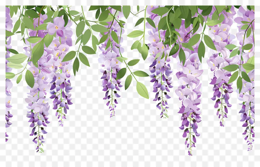 Fleurs Suspendues，Fleurs Violettes Suspendues PNG