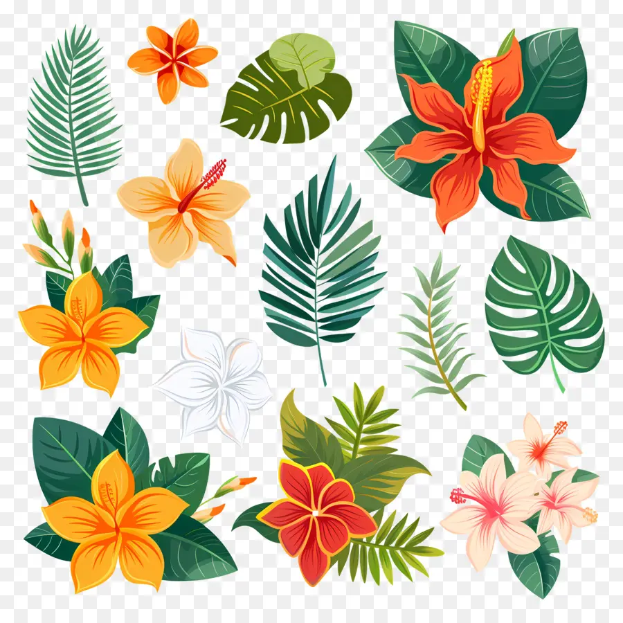 Fleurs Tropicales，Feuilles Et Fleurs Tropicales PNG