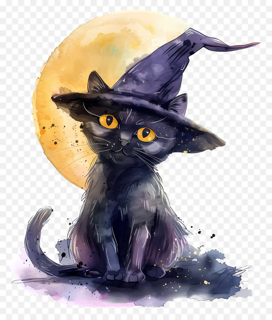 Chat D'halloween，Chat Noir PNG