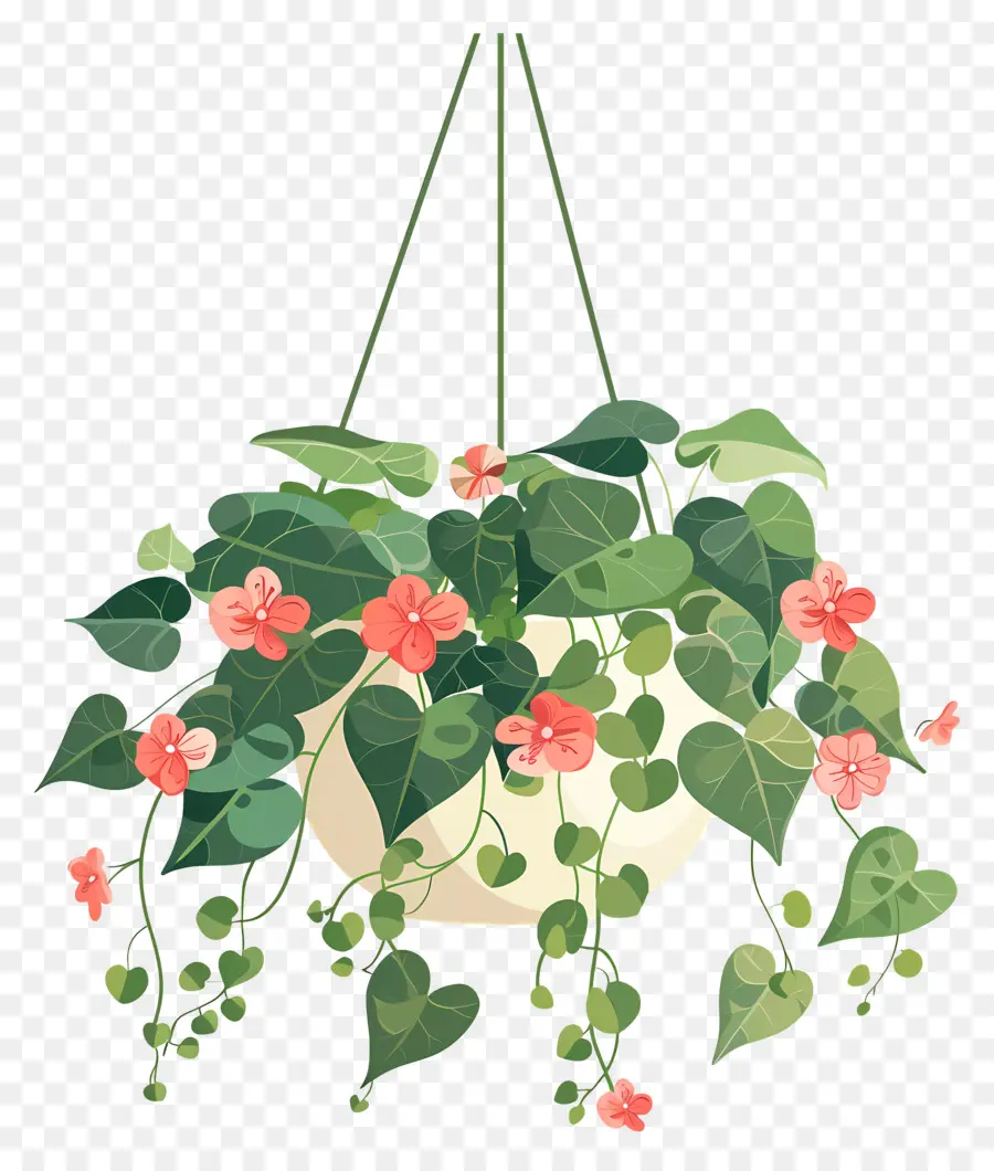 Fleurs Suspendues，Plante Suspendue à Petites Fleurs Roses PNG