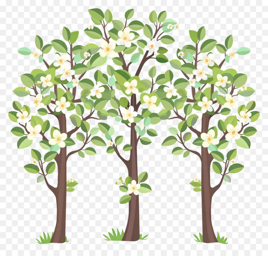 Arbre à Fleurs，Trois Arbres En Fleurs PNG