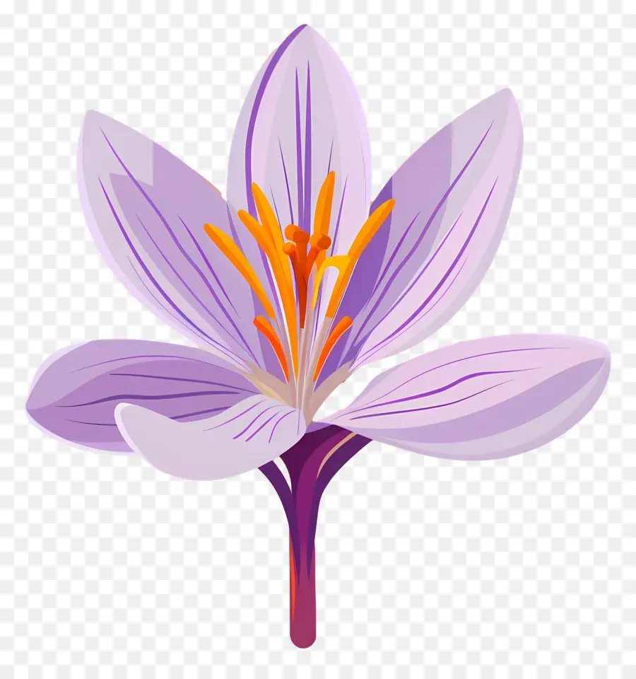 Fleur De Safran，Fleur Violette PNG