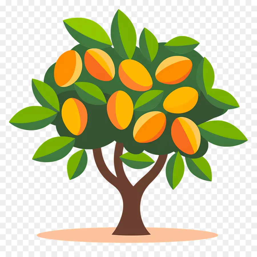 Manguier，Fruit PNG