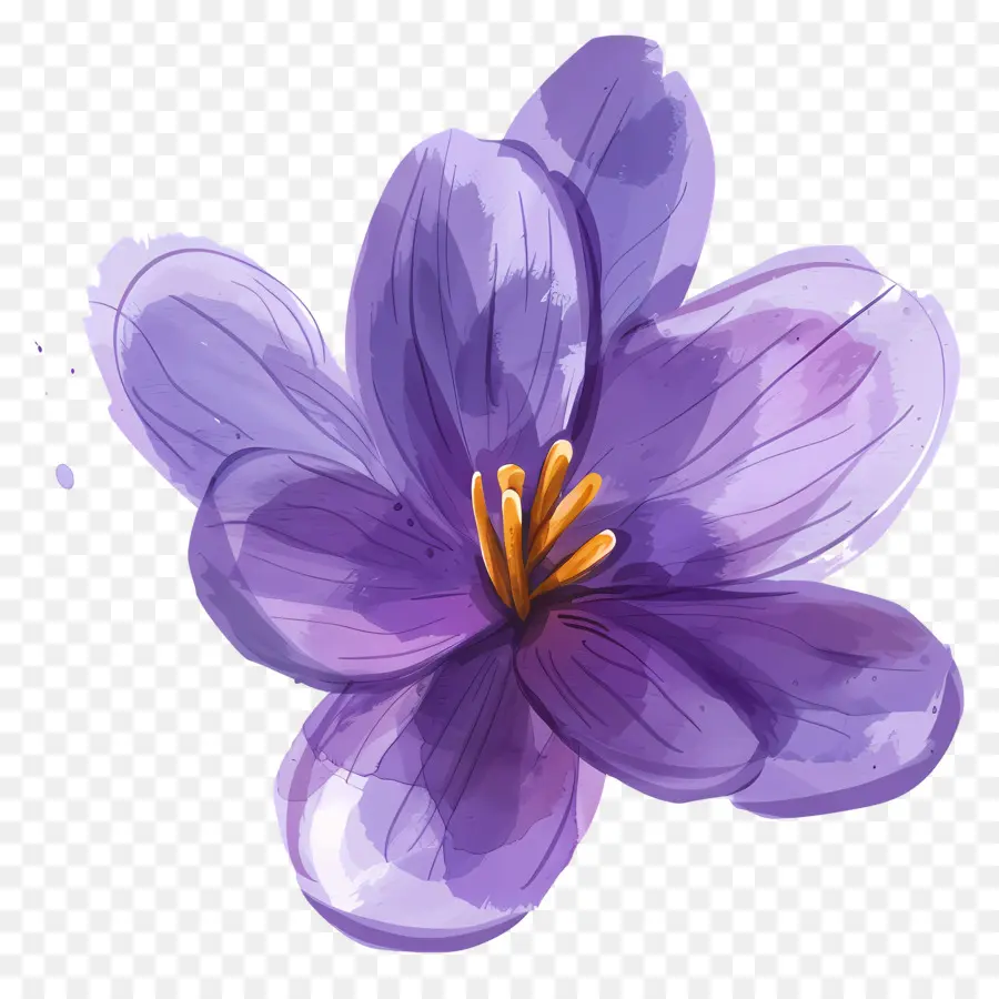 Fleur De Safran，Fleur Violette PNG