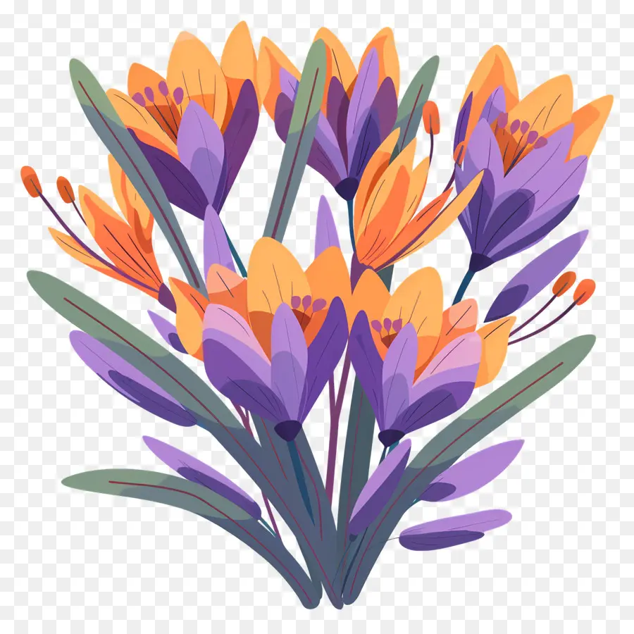 Fleurs De Safran，Fleurs Violettes PNG