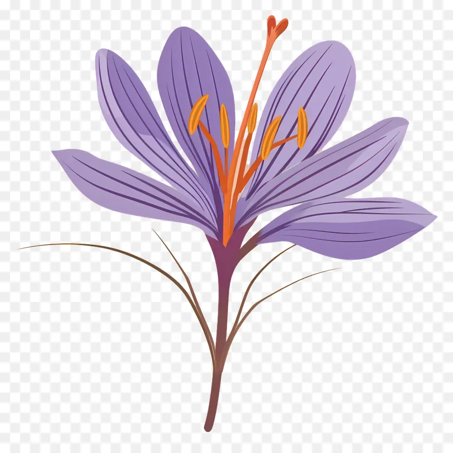 Fleur De Safran，Fleur Violette PNG