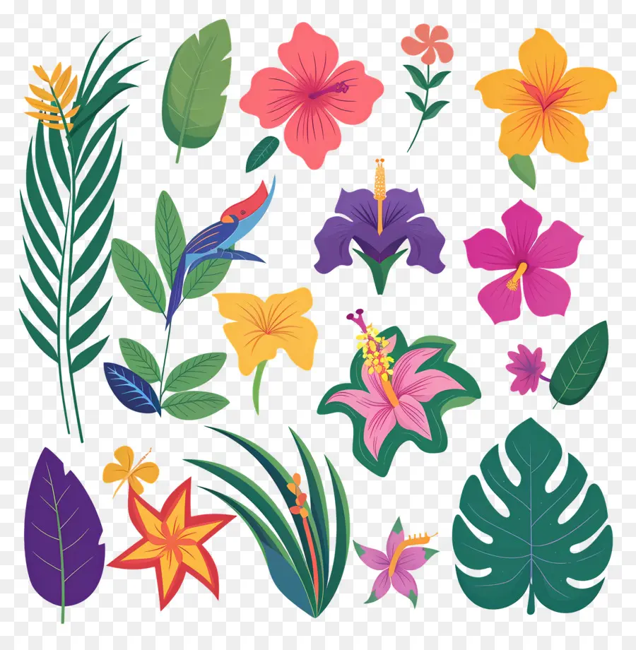 Fleurs Tropicales，Feuilles Et Fleurs Tropicales PNG