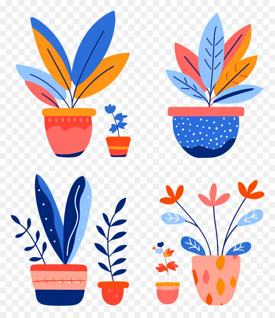 Plantes En Pot，Plantes En Pot Colorées PNG