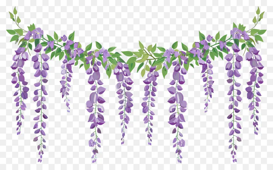 Fleurs Suspendues，Fleurs Violettes Suspendues PNG