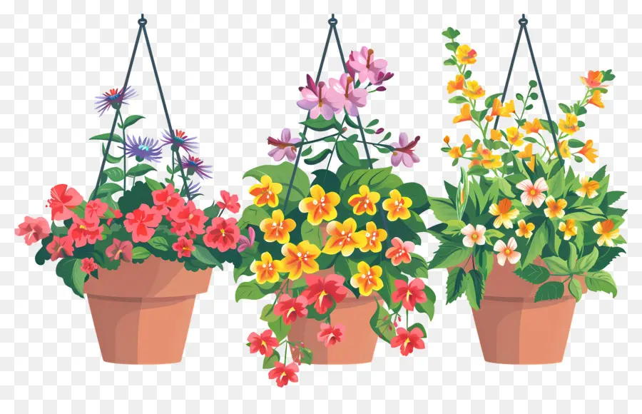 Fleurs Suspendues，Pots De Fleurs Suspendus PNG