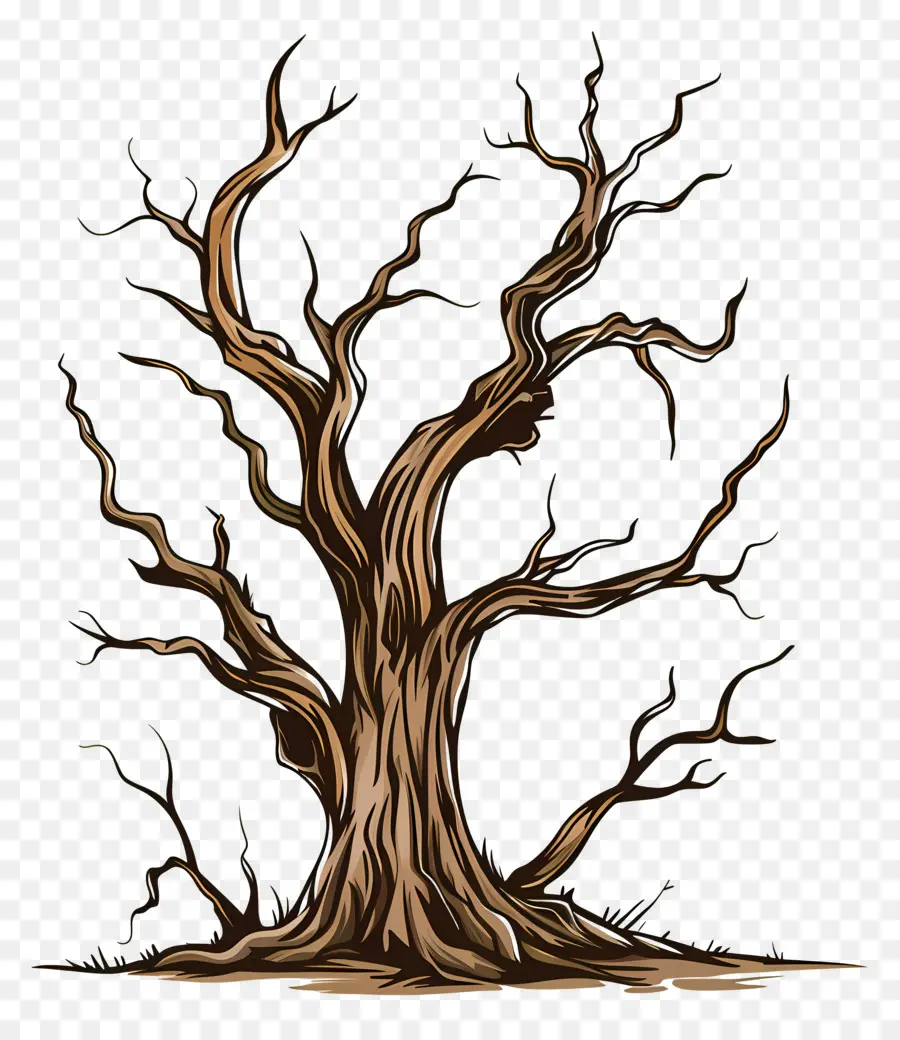 Arbre Mort，Arbre Tordu PNG