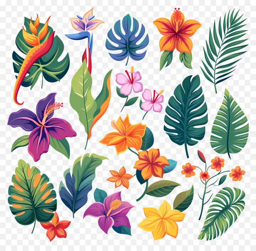 Fleurs Tropicales，Feuilles Et Fleurs Tropicales PNG