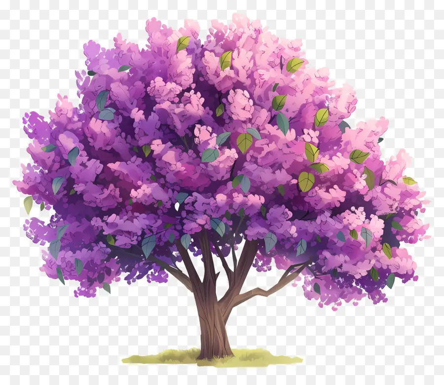 Arbre à Fleurs，Arbre Violet PNG