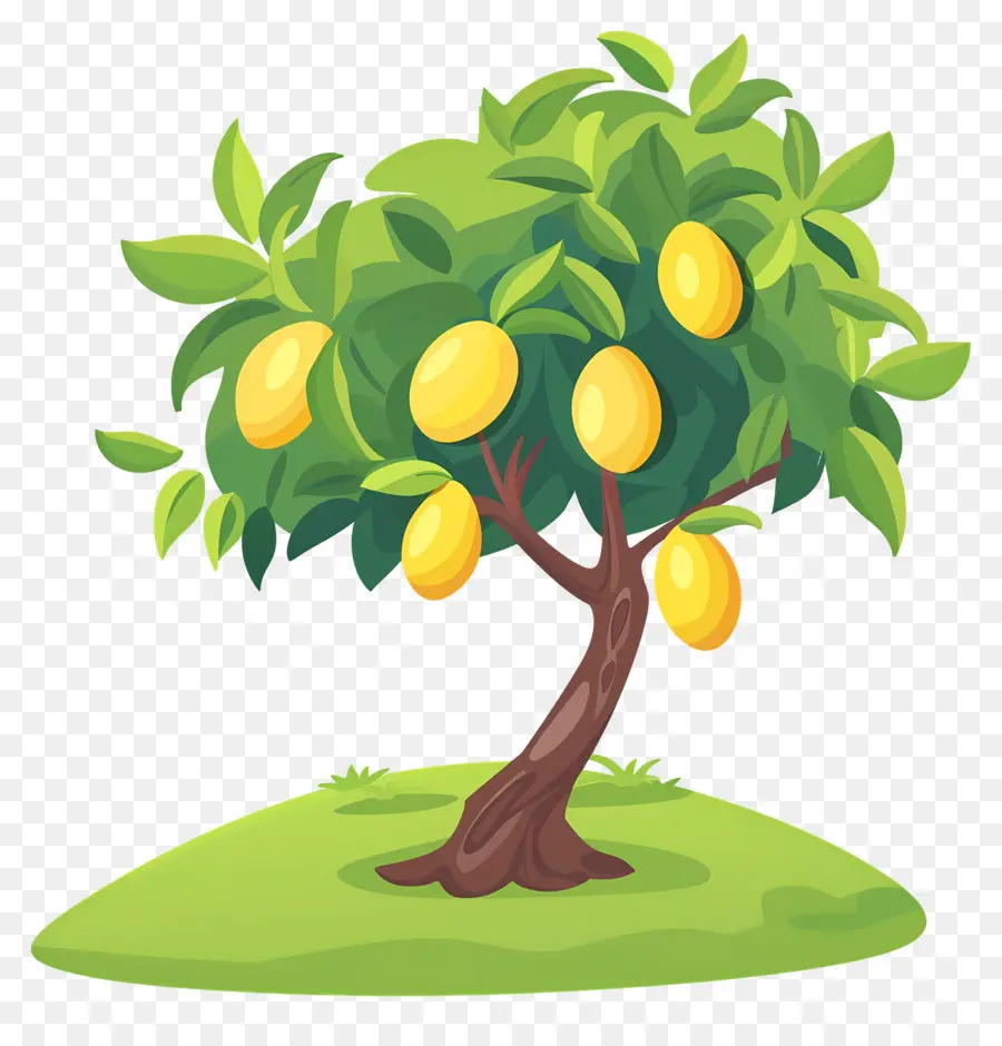 Manguier，Fruit PNG