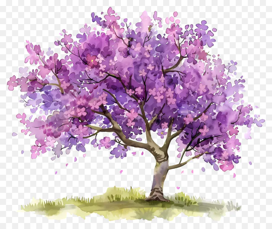 Arbre à Fleurs，Arbre Violet PNG