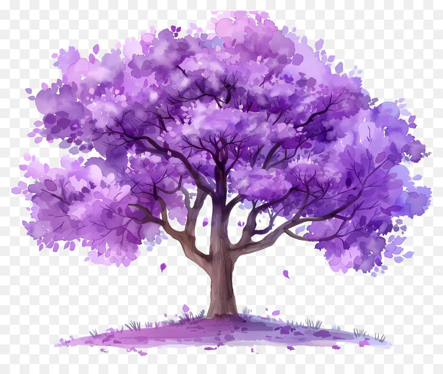 Arbre à Fleurs，Arbre Violet PNG